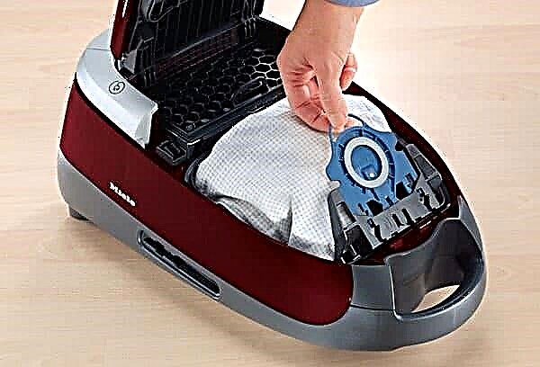 Which type of vacuum cleaner is better to choose - with a container or with a bag?