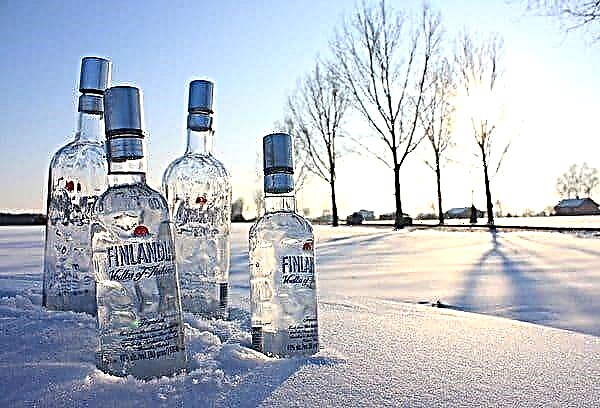 Vodka có thể được lưu trữ trong tủ đông? Ở nhiệt độ nào thì đồ uống đóng băng