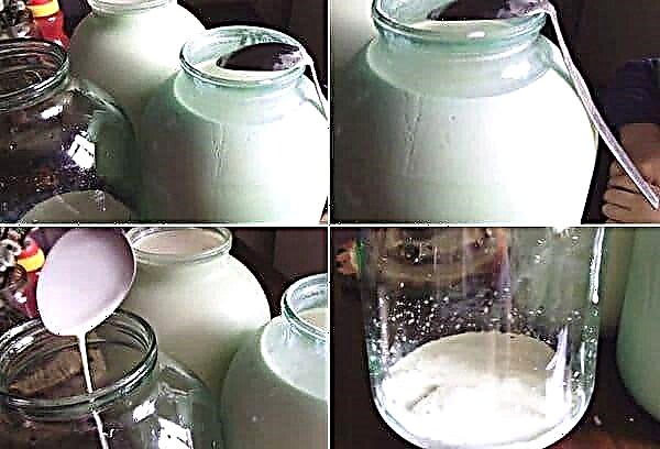 Separe la crema de la leche con sus propias manos.