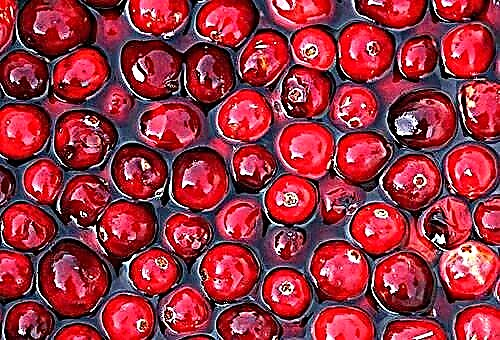 6 ways to keep cranberries healthy in the winter