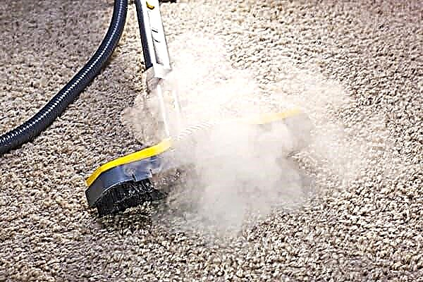 Can I clean the carpet with a household steam cleaner?