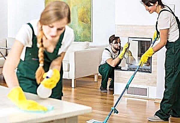 How much does the general cleaning of an apartment, cottage, house cost: what the price depends on.
