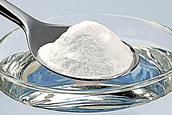 Ein Glas Salz und Essig auf dem Boden der Schwiegermutter - Hexerei oder sanitäre Mittel