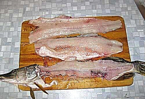How to quickly clean and cut a fresh pike before cooking