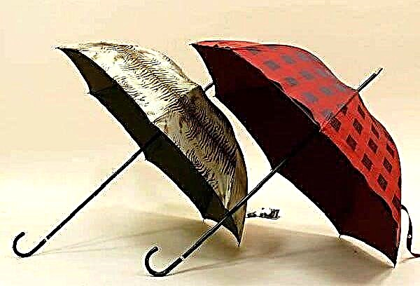We wash and dry the umbrella at home