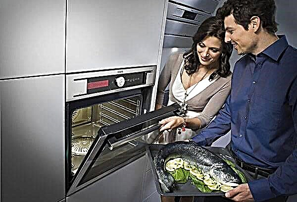 Características de limpiar el horno con vapor.