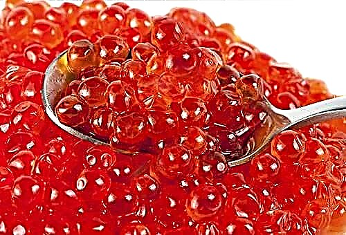 Algunos consejos sobre cómo almacenar adecuadamente el caviar rojo en casa
