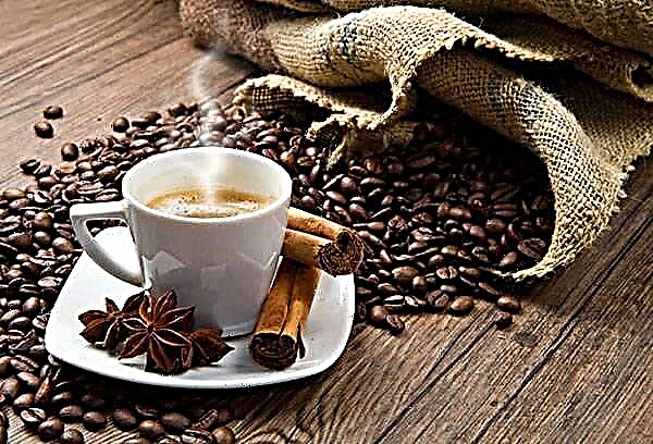 كيف يتم تحضير القهوة اللذيذة في تركيا؟