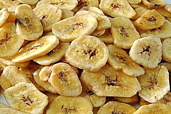 Kako sušiti banane kod kuće