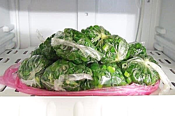 É possível congelar verduras e cebolas? Autenticamente sobre congelamento