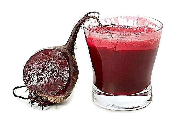How to cook beets and how to do it right?