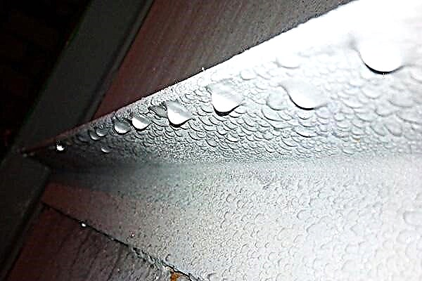 Eliminating dampness in the garage: 5 useful tips