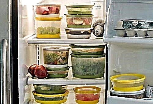 How many days can food be stored in the refrigerator and how to do it right?