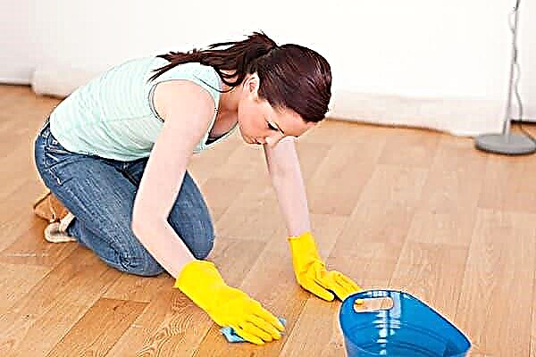 The easiest way to wash stains from hands, linoleum and plastic