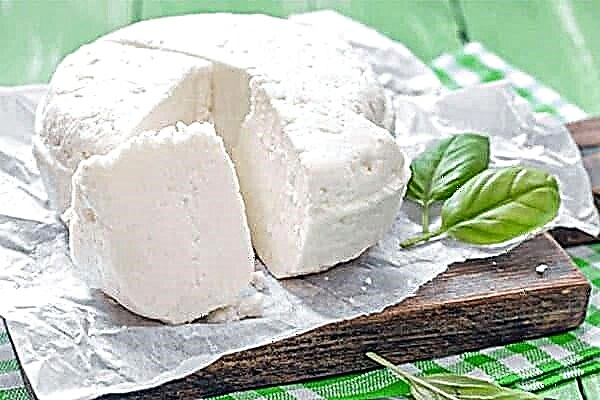 É possível armazenar queijo feta no congelador: métodos e regras de congelamento