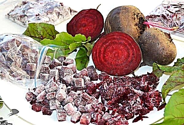 Is it possible to freeze cooked beets for the winter in the freezer?