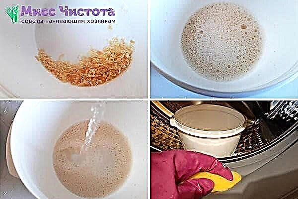Il n'y aura plus de moisissure: trois produits bon marché d'un champignon sur l'élastique d'une machine à laver