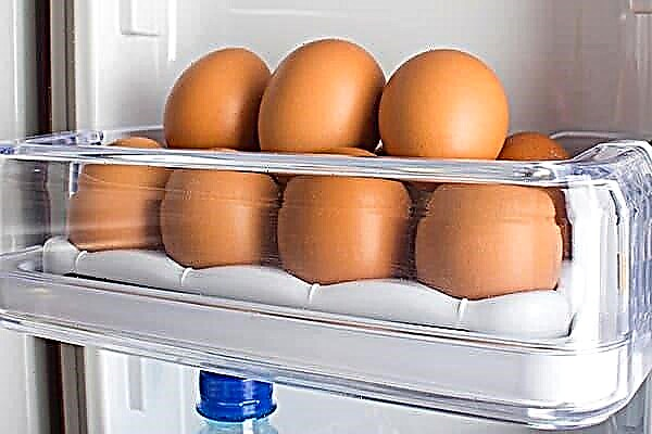 Scientific e GOST: É possível armazenar ovos lavados na geladeira