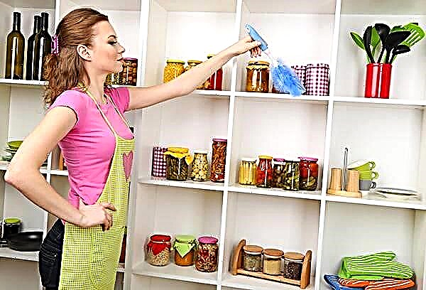 Zeitmanagement für eine moderne Hausfrau