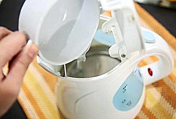 How and how can you influence the kettle to get rid of the smell of plastic?