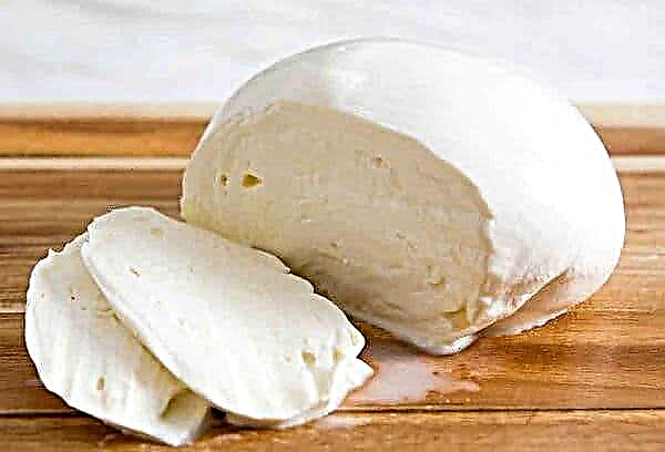 Can mozzarella be frozen: why and is it worth it?