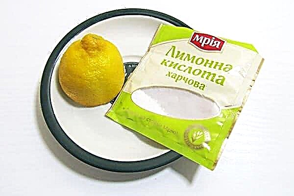 L'acide citrique peut-il être remplacé par du jus de citron et vice versa?