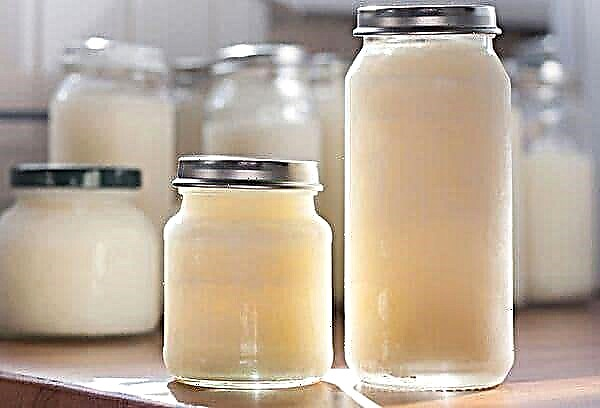 Miksi maitoa ei voida kuumentaa mikroaaltouunissa: onko totta, että se on haitallista