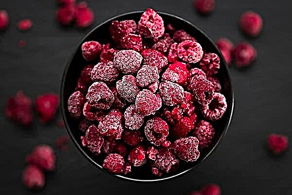 What is the best way to freeze raspberries for the winter?