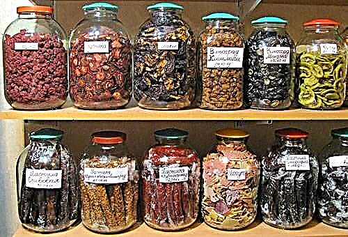 7 rules for storing dried fruits: how to store dried fruits and berries at home?