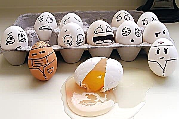 18 možnosti uporabe pretečenih piščančjih jajc in njihov rok trajanja