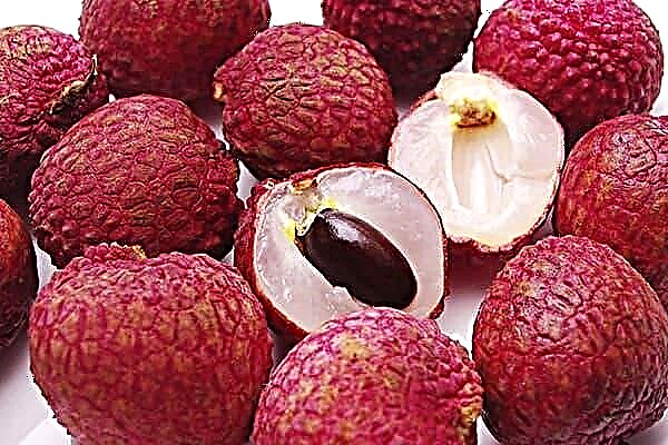 Πριν δοκιμάσετε το lychee, μάθετε για τα οφέλη και τις αντενδείξεις