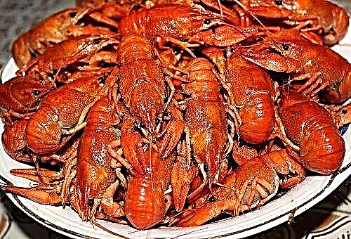 How to clean crayfish for food