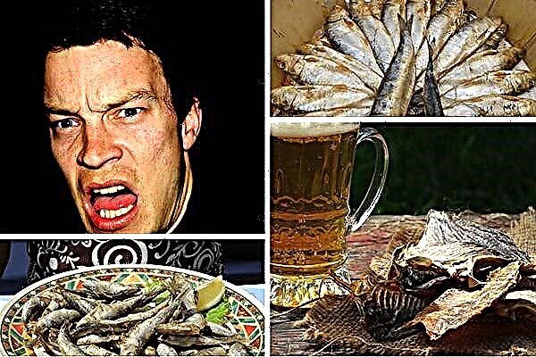What is unique in capelin and its caviar: benefits and harm to the body