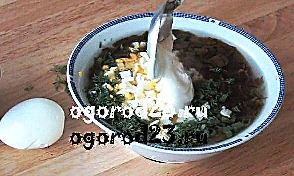 La culture de l'oseille, ses propriétés utiles et la recette de la soupe froide avec une photo
