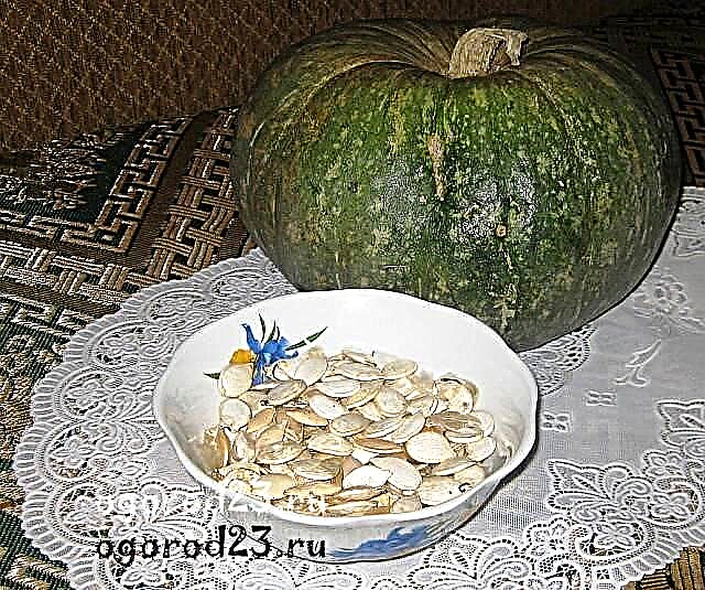 Pumpkin seeds, benefits for men and women, as they are properly eaten