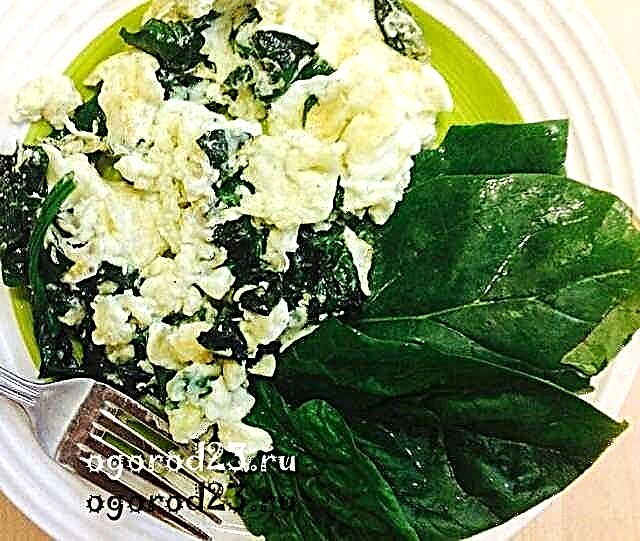 Fried eggs with spinach, how to cook delicious, recipe