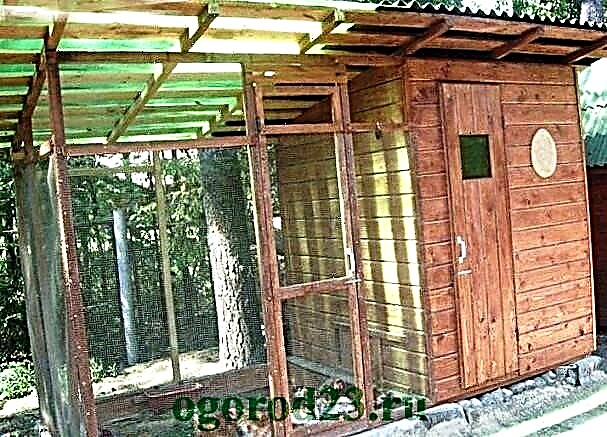 Do-it-yourself pitched roof - step by step with a photo - for home, shed, garage