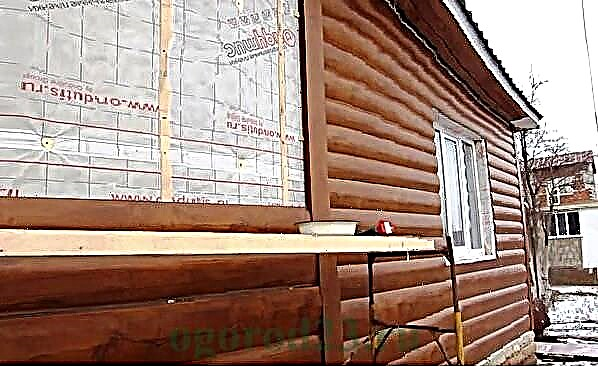 Acabado de paredes de madera, fachada de la cabaña - ideas, opciones, consejos