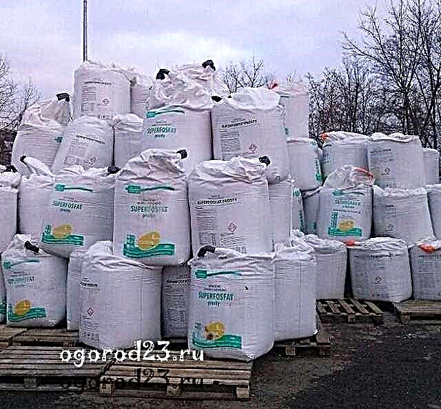 Phosphate fertilizers, which, in what cases and how best to apply in the garden