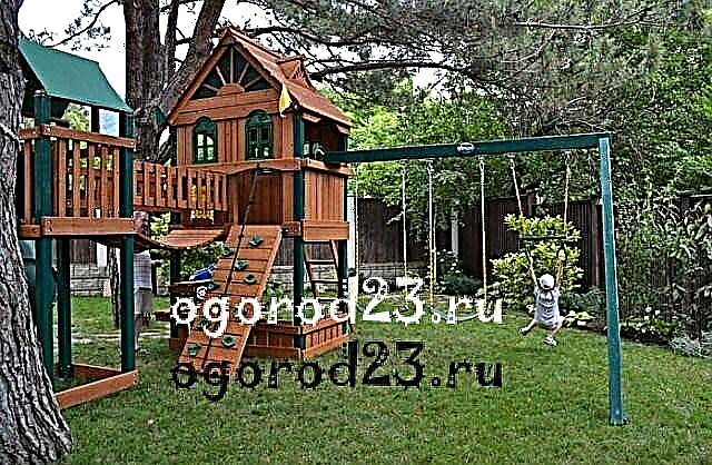 Sports complex for children at the cottage - swing, horizontal bar, Swedish wall