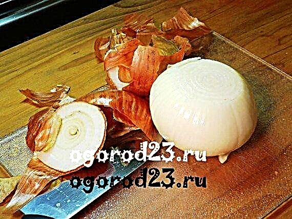 Onion peel for a vegetable garden or garden and its use for health