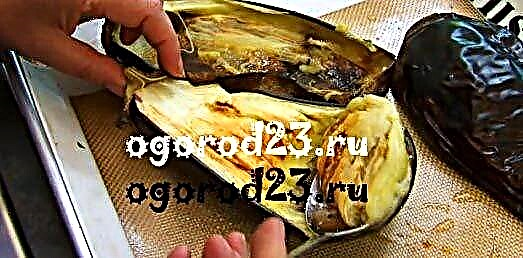كيفية طهي الباذنجان بسرعة ولذيذ في مقلاة ، شواء ، في الميكروويف ، خبز في الفرن